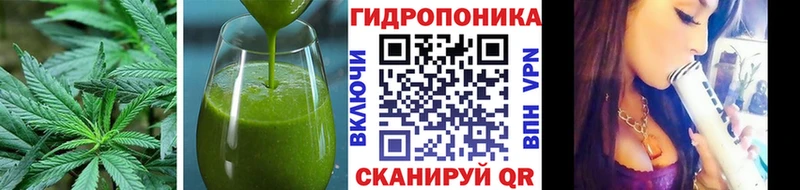 где найти наркотики  блэк спрут маркетплейс  Еда ТГК конопля  Ермолино 