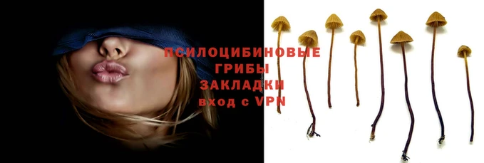 соль курить ск Алзамай